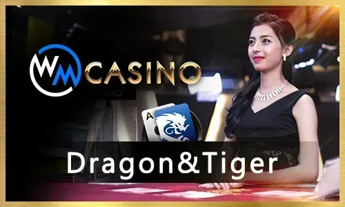 Live Dealer Casino Experience